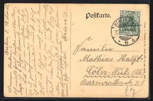 AK Berlin, Uferpartie in der Altstadt, Gänseblumen mit Wespe, Passepartout