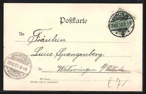 Passepartout-AK Berlin, Totalansicht Kgl. Schloss