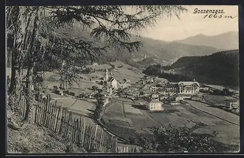 AK Gossensass, Waldpartie mit Blick auf den Ort