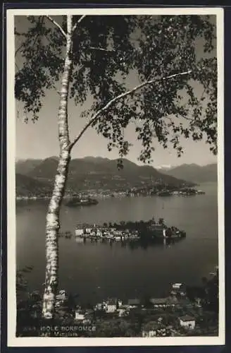 AK Isole Borromee, Blick vom Berg zur Insel hinüber