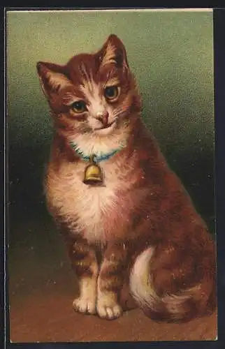 Künstler-AK Katze mit Glöckchen, Portrait