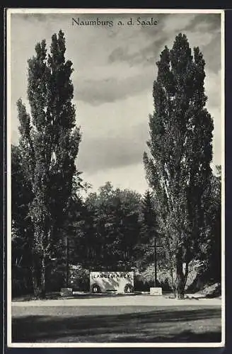 AK Naumburg /Saale, Langemarck-Denkmal