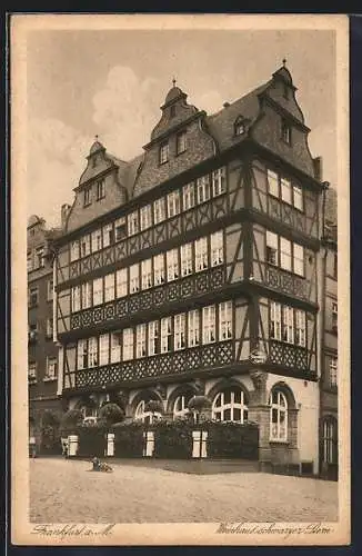 AK Alt-Frankfurt, Gasthaus Schwarzer Stern auf dem Römer