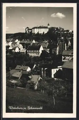 AK Winterberg im Böhmerwald, Blick über die Dächer