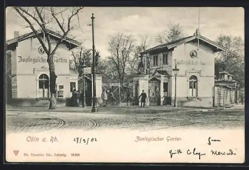 AK Köln a. Rh., Zoologischer Garten