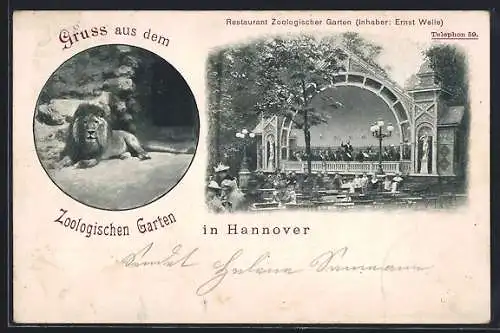 AK Hannover, Zoologischer Garten, Löwe, Restaurant Zoologischer Garten von Ernst Welle