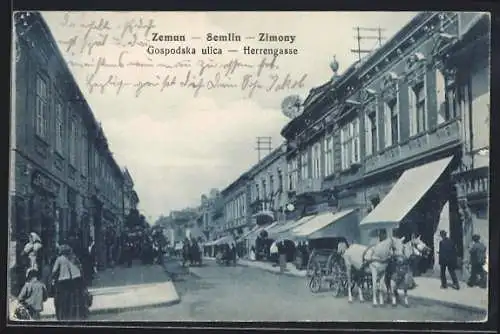 AK Zemun-Semlin, Herrengasse mit Geschäften