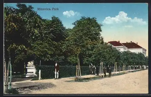 AK Mitrovica, Partie am Park