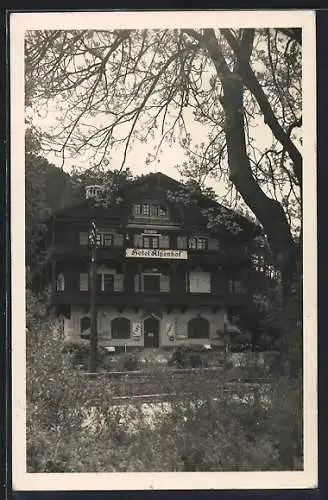 AK Puchberg am Schneeberg, Hotel und Cafe Alpenhof