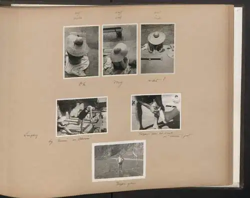 Fotoalbum mit 172 Fotografien, Ansicht Madeira, britischer Mathematiker Patrick Michael Grundy Reise nach Madeira, 1934