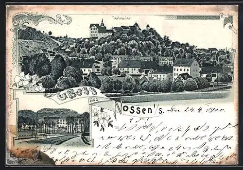 Lithographie Nossen i. S., Totalansicht und Seminar