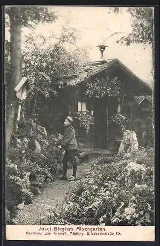 AK Mödling, Josef Bieglers Alpengarten Gasthaus Zur Krone, Elisabethstrasse 10