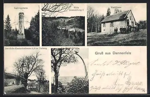 AK Dannenfels, Ludwigsturm, Villa Donnersberg, Waldhaus, dicker Kastanienbaum, Ansicht am Moltkefelsen