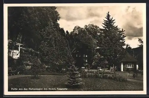 AK Laasphe a. d. Lahn, Partie aus den Parkanlagen des Hotels Fasanerie