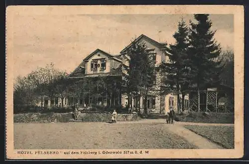 AK Felsberg i. Odenwald, Hotel Felsberg