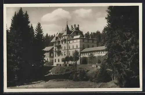 AK Notschrei /Schwarzwald, Waldhotel am Notschrei