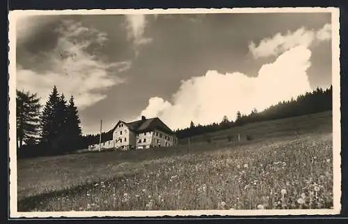 AK Todtnau /Schwarzw., Pension Leo Schelb auf dem Todtnauberg