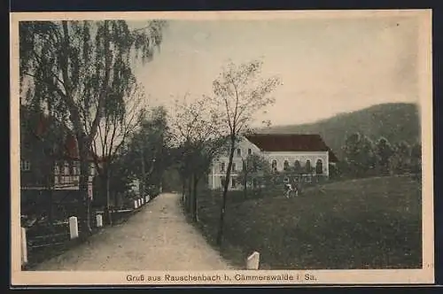 AK Rauschenbach b. Cämmerswalde i. Sa., Strasse im Ort