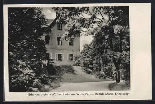 AK Maria-Enzersdorf, Erholungsheim Wällischhof