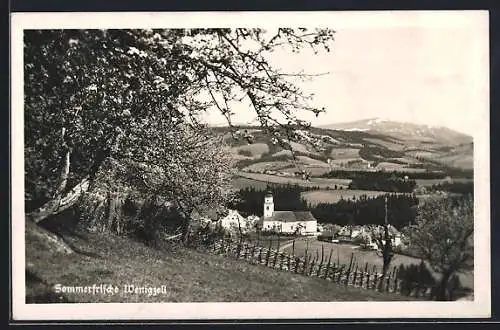 AK Wenigzell, Gesamtansicht von einen Berg aus