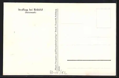 AK Strallegg bei Birkfeld, Ortsansicht aus der Vogelschau