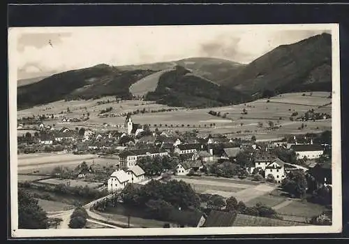 AK Langenwang /Steiermark, Totalansicht von einen Berg aus