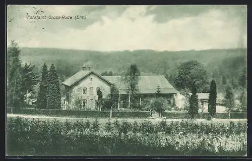 AK Gross-Rode /Elm, Strasse am Forstamt