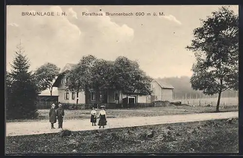 AK Braunlage i. H., Strasse am Gasthof Forsthaus Brunnenbach