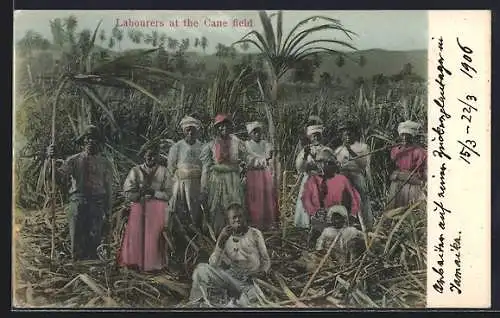 AK Labourers at the Cane field