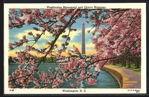 AK Washington D.C., Washington Monument and Cherry Blossoms