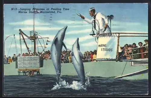 AK Marineland, FL, Jumping Porpoises at Marine Studios