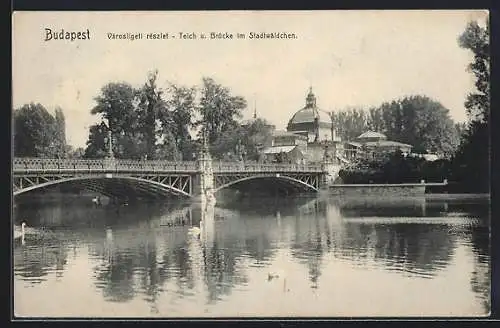 AK Budapest, Teich und Brücke im Stadtwäldchen, Városligeti részlet