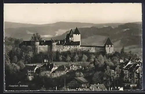 AK Burgdorf, Blick auf das Schloss