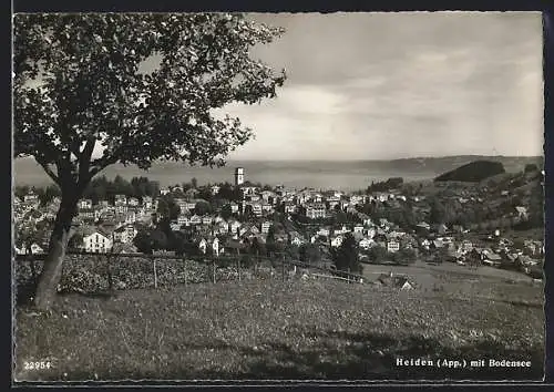 AK Heiden, Ortsansicht gegen den Bodensee