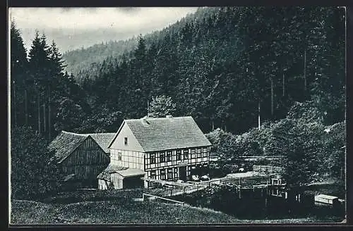 AK Hohegeiss /Oberharz, Gasthof Wolfsbachmühle aus der Vogelschau