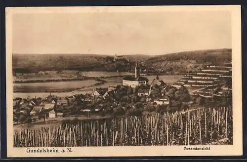 AK Gundelsheim a. N., Gesamtansicht mit Schloss