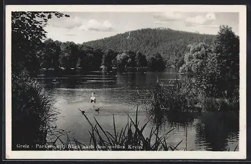 AK Greiz, Parksee mit Blick nach dem weissen Kreuz