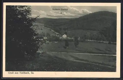 AK Hallbach /Sa., Panorama mit Gasthof Seyfert