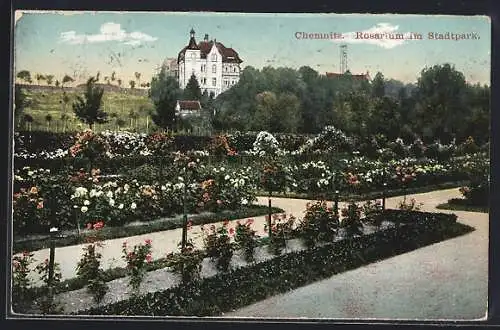 AK Chemnitz, Rosarium im Stadtpark