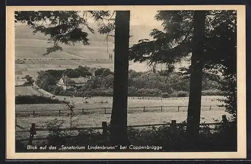 AK Coppenbrügge, Blick auf das Sanatorium Lindenbrunn