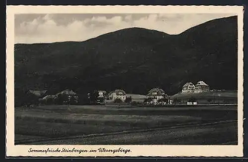 AK Steinbergen im Wesergebirge, Gesamtansicht der Ortschaft