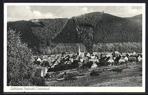 AK Freienohl /Sauerland, Teilansicht vom Hang aus