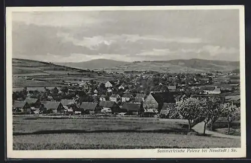 AK Polenz bei Neustadt, Teilansicht