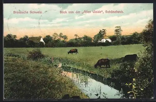 AK Bremen, Bremische Schweiz, Blick von der Alten Weide, Schönebeck