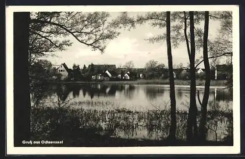 AK Ochsensaal, Blick über die Teichanlagen