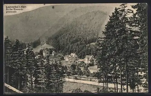 AK Lautenthal i. Harz, An der Bismarckpromenade