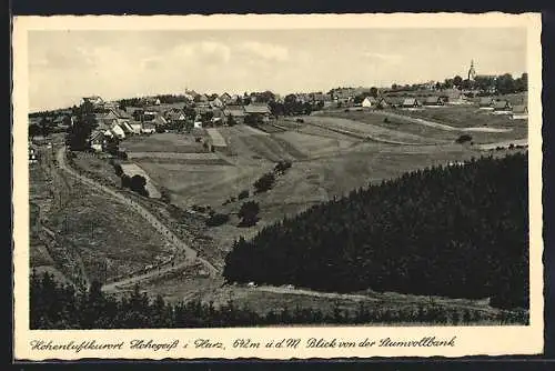 AK Hohegeiss i. Harz, Blick von der Stumvollbank auf den Ort