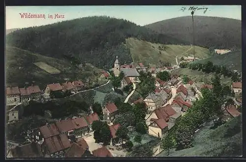 AK Wildemann im Harz, Teilansicht mit Kirche