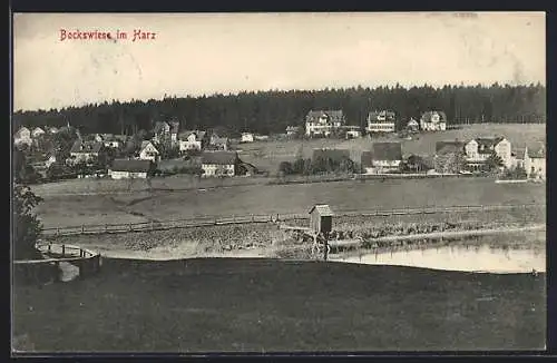 AK Bockswiese im Harz, Teilansicht