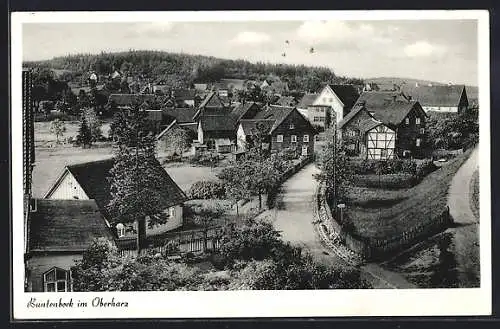 AK Buntenbock im Oberharz, Teilansicht mit Strassenpartie